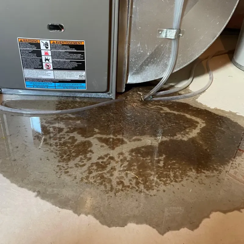 Appliance Leak Cleanup in Richland County, IL
