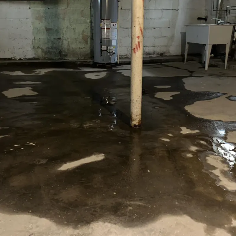 Emergency Water Extraction And Removal in Richland County, IL
